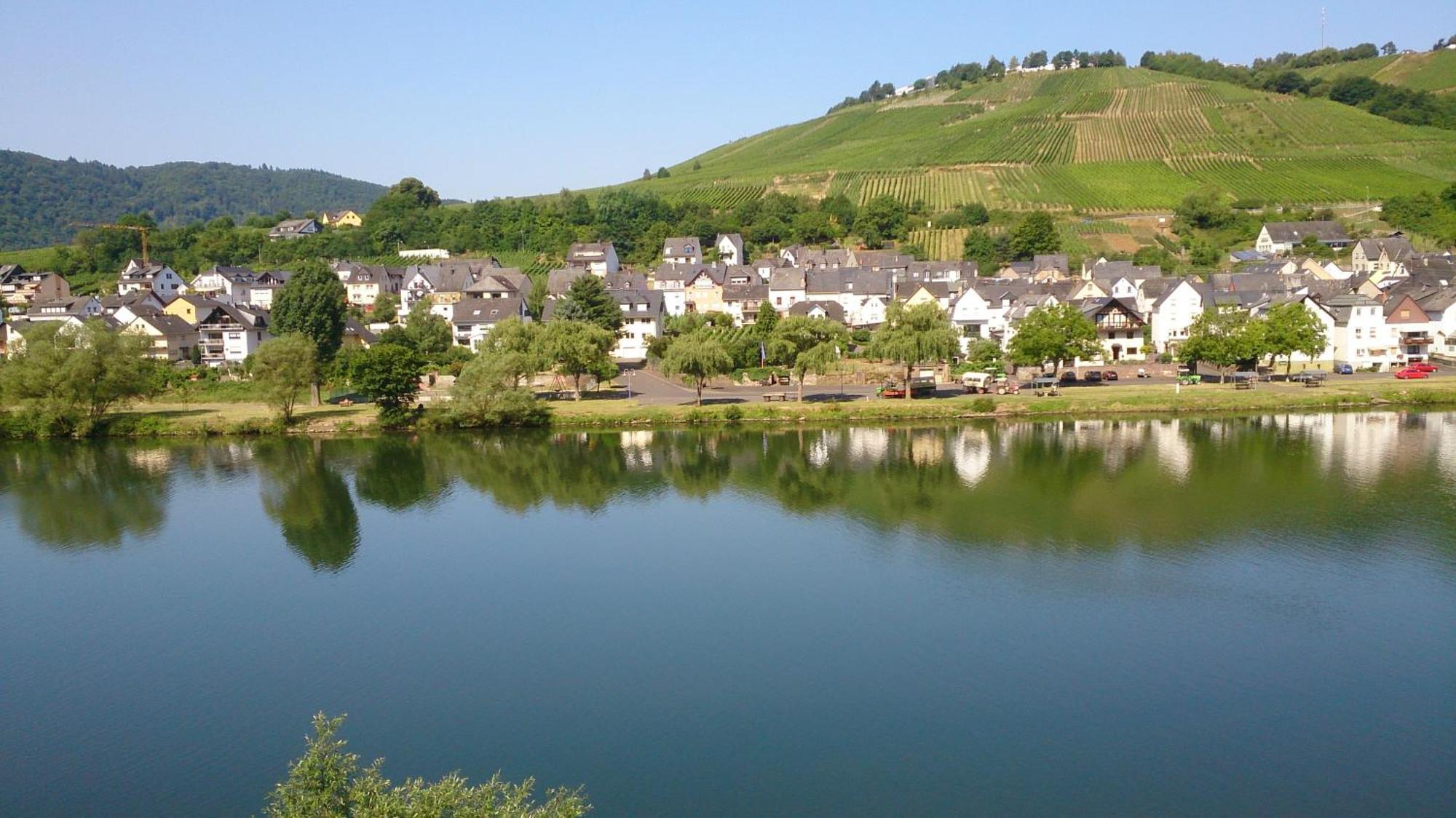 Mosel View Apartment Zell an der Mosel Bilik gambar