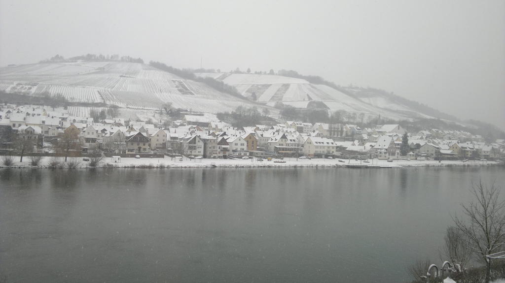 Mosel View Apartment Zell an der Mosel Luaran gambar