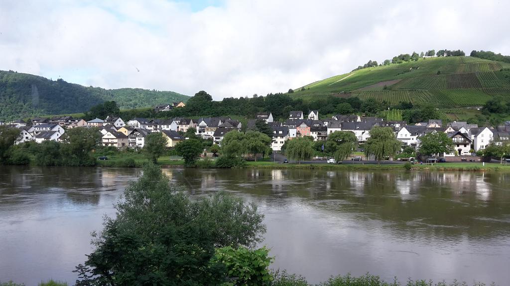 Mosel View Apartment Zell an der Mosel Luaran gambar